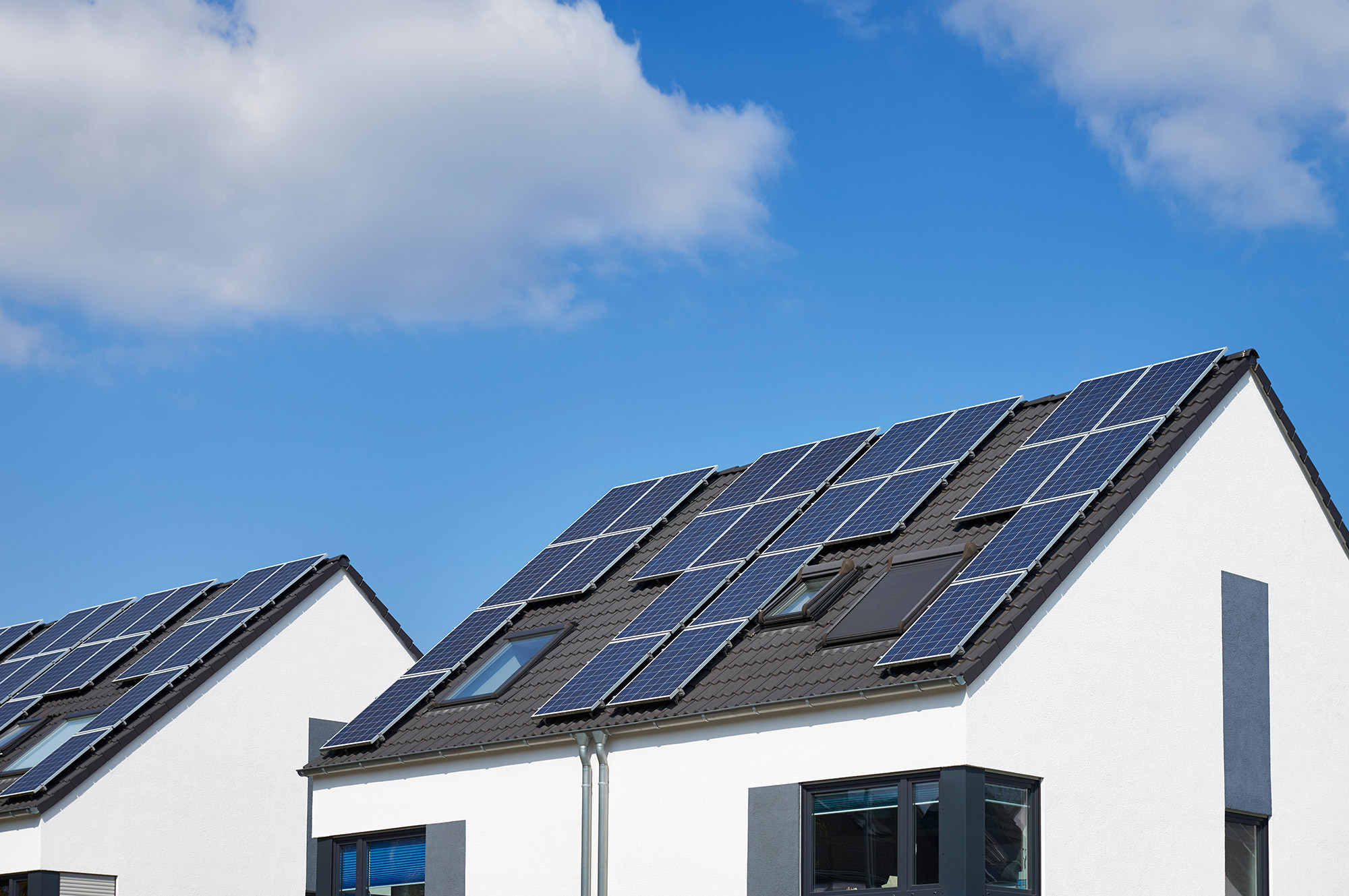 rooftops covered in solar panels under a blue sky