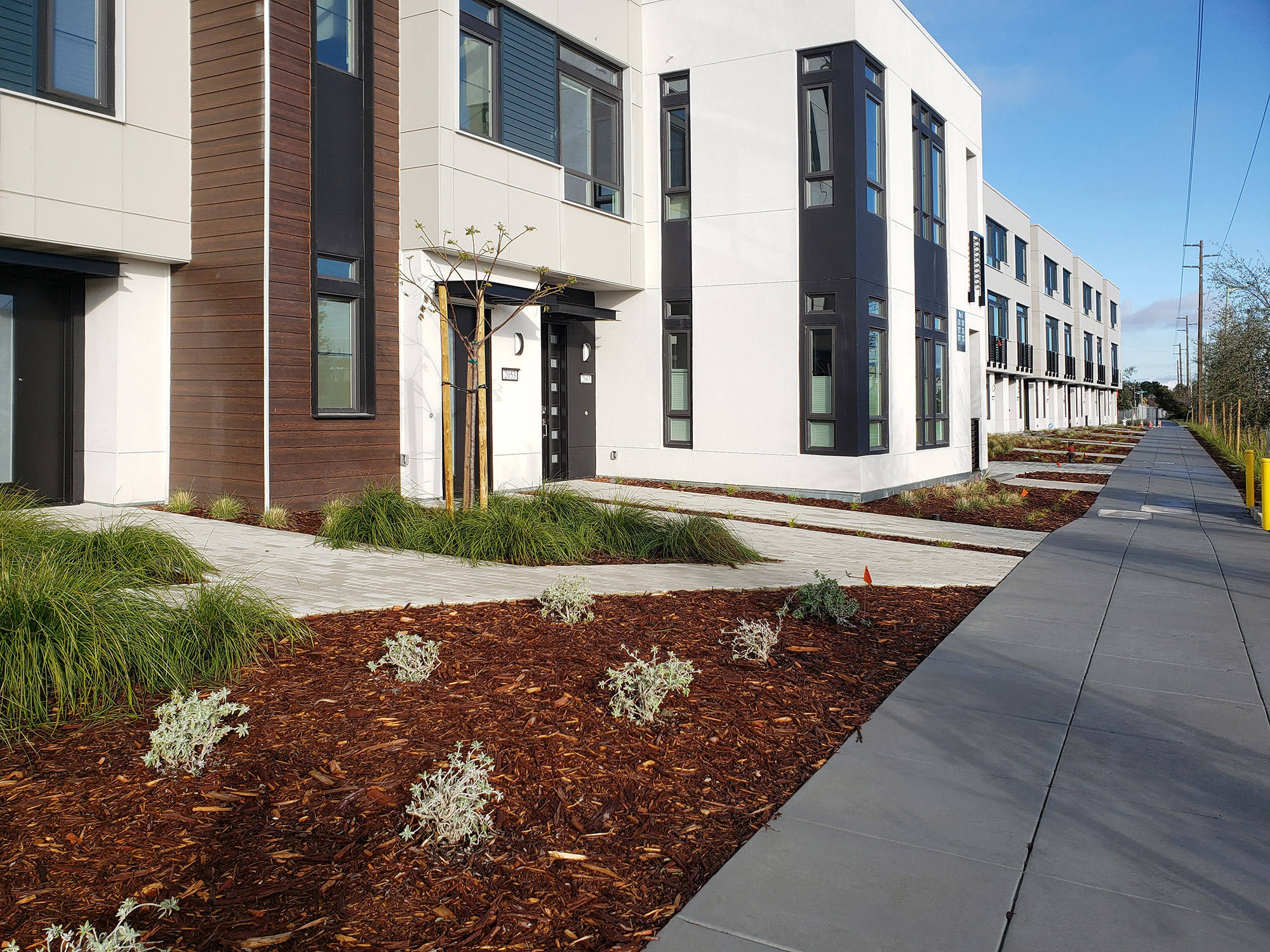 new construction residential building with new landscaping at perimeter